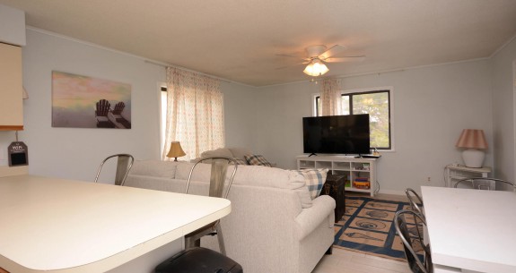 LOST COLONY III 335 - LIVING-AREA