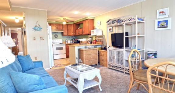 LIVING-AREA