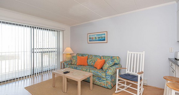 SKYHAVEN 203-LIVING AREA