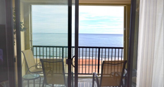 VIEW-FROM-LIVING-ROOM