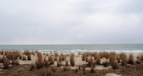 Ocean Trail 205-Balcony View