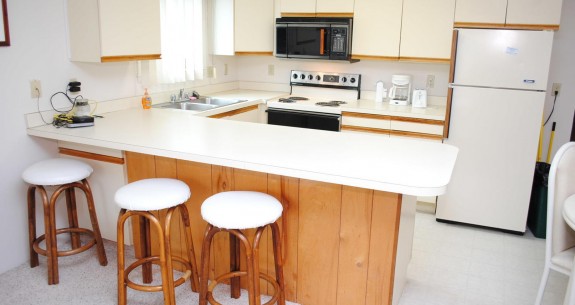 Kitchen- Lost Colony III 221