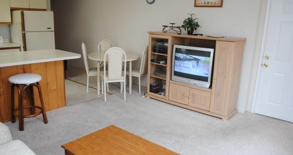 Lost Colony III 221-Living Room