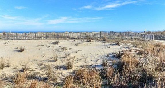 View from Dune House 1 Deck