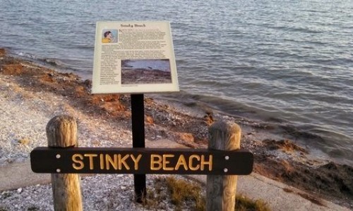 Sign at Stinky Beach