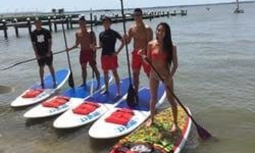 Five People Standing on Stand Up Paddle Boards in Bay