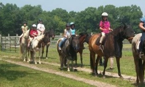 Horseback Rider's in a Line