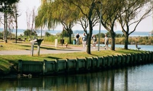 Park with Willows on the bay